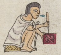 Amoxitoa étudie les manuscrits mésoaméricains Logo